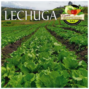 Espacio Agropecuario